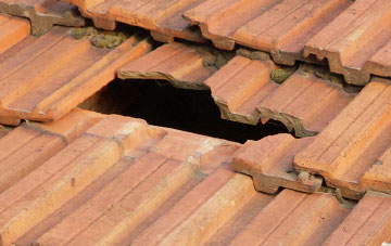 roof repair Hallyards, Scottish Borders